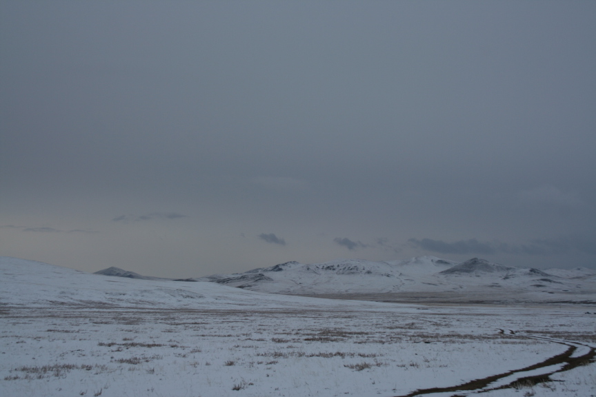 mongolie in de sneeuw
